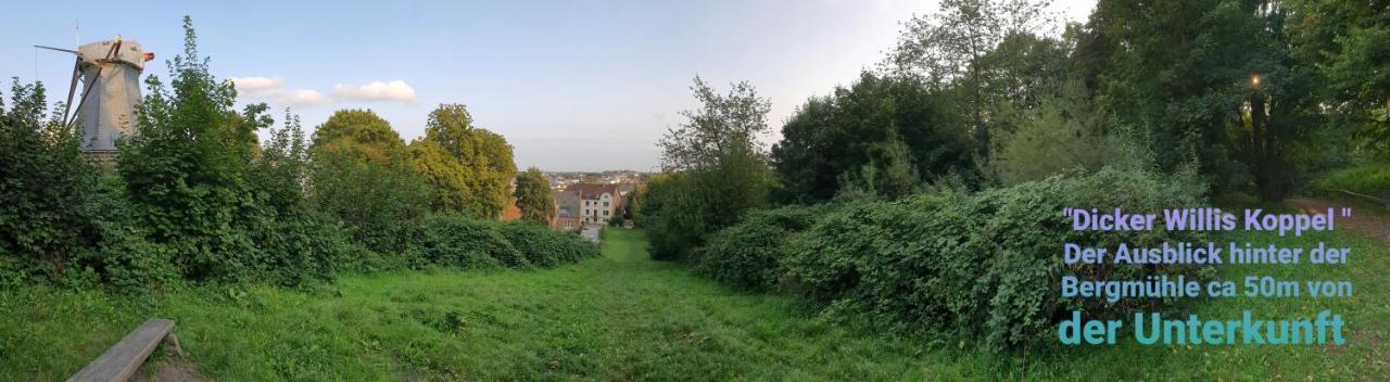 弗伦斯堡Ferienhaus An Der Bergmuehle别墅 外观 照片